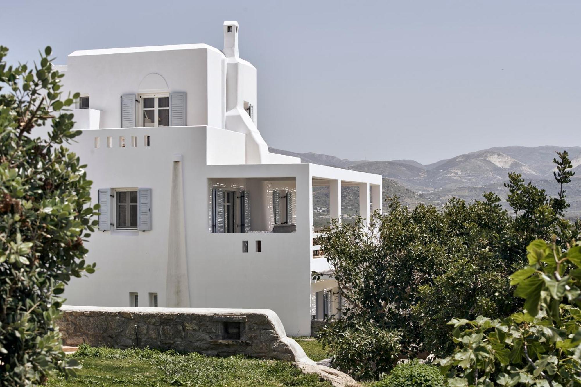 Naxian Collection - Small Luxury Hotel Of The World Stelida  Buitenkant foto